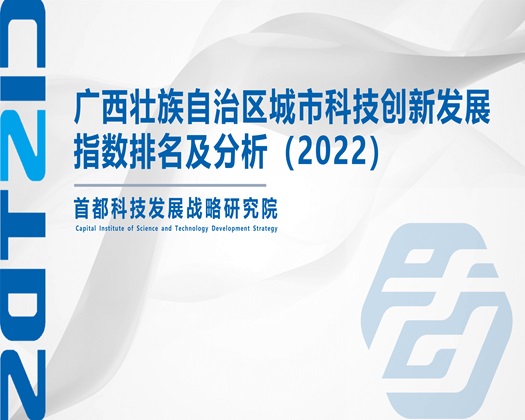 艹逼高清大肉棒逼逼【成果发布】广西壮族自治区城市科技创新发展指数排名及分析（2022）